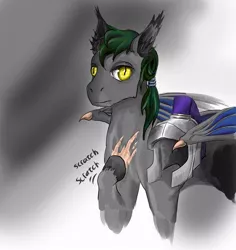 Size: 785x830 | Tagged: safe, artist:lambs prey, derpibooru import, oc, oc:dusky gloom, bat pony, fanfic art, helmet, image, jpeg, night guard, prey and a lamb, scar, scratching, slit pupils, tufted ears