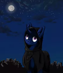 Size: 656x758 | Tagged: safe, artist:lambs prey, derpibooru import, oc, oc:lemon pink, oc:night watcher, unicorn, cultist, fanfic art, hooded cape, image, jpeg, moon, night, prey and a lamb, vanhoover