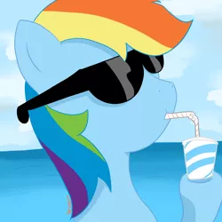 Size: 3000x3000 | Tagged: safe, artist:reinbou, derpibooru import, rainbow dash, pegasus, pony, beach, female, glasses, image, jpeg, mare, solo, sorbet