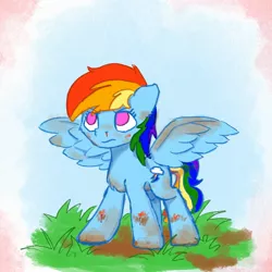 Size: 2048x2048 | Tagged: safe, artist:anderdragon76, artist:anderdraws, derpibooru import, rainbow dash, pegasus, pony, dirty, female, grass, image, jpeg, mud, no pupils, solo, spread wings, wings