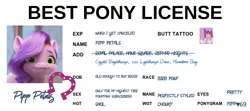 Size: 960x427 | Tagged: safe, derpibooru import, edit, edited screencap, editor:secretbronyx, screencap, pipp, pipp petals, pegasus, pony, my little pony: make your mark, 420, 69 (number), adorapipp, best pony, best pony license, birb, cute, cutie mark, faic, female, g5, horseshoes, id card, image, implied prostitution, license, mare, meme, pipp is short, png, ponyfans, simple background, white background