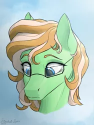 Size: 1800x2400 | Tagged: safe, artist:stardustspix, derpibooru import, oc, oc:sapphie, unofficial characters only, pegasus, pony, abstract background, blue eyes, bust, cream mane, cute, female, glasses, green coat, image, looking down, mare, ocbetes, png, portrait, raised eyebrows, signature