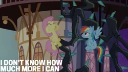 Size: 1280x720 | Tagged: safe, derpibooru import, edit, edited screencap, editor:quoterific, screencap, fluttershy, rainbow dash, pegasus, pony, princess twilight sparkle (episode), season 4, :o, duo, duo female, eyes closed, female, flying, image, jpeg, mare, open mouth, spread wings, text, wings
