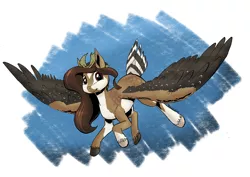 Size: 1280x905 | Tagged: safe, artist:darkhestur, derpibooru import, oc, unofficial characters only, pegasus, bandana, falcon wings, feather tail, flying, image, looking at you, missing cutie mark, pegasus oc, png, simple background, smiling, wings