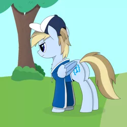 Size: 3240x3240 | Tagged: safe, artist:terncode, derpibooru import, oc, oc:terncode, unofficial characters only, pegasus, pony, cap, clothes, hat, image, pegasus oc, png, solo, wings