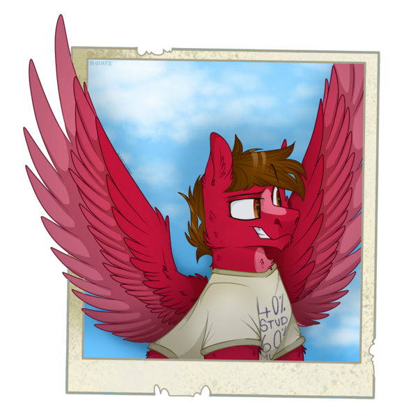 Size: 2300x2300 | Tagged: safe, artist:molars, derpibooru import, oc, oc:finn, earth pony, pegasus, chest fluff, chin fluff, facial hair, goatee, image, png, polaroid, raised eyebrow, shading, simple background, sky, smug, spread wings, wings