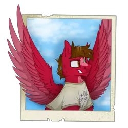 Size: 2300x2300 | Tagged: safe, artist:molars, derpibooru import, oc, oc:finn, earth pony, pegasus, chest fluff, chin fluff, facial hair, goatee, image, png, polaroid, raised eyebrow, shading, simple background, sky, smug, spread wings, wings