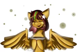 Size: 3824x2563 | Tagged: safe, artist:yuris, derpibooru import, oc, oc:mohinga, ponified, pegasus, pony, burmese, image, mohinga, myanmar, nation ponies, png, simple background, smiling, solo, thanaka, trade, yangon