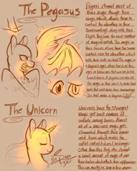 Size: 2300x2875 | Tagged: safe, artist:snowballflo, derpibooru import, oc, unofficial characters only, pegasus, pony, unicorn, bat wings, bust, female, glow, glowing horn, glowing wings, headcanon, horn, image, jpeg, mare, open mouth, pegasus oc, reference sheet, signature, smiling, unicorn oc, wings