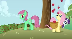 Size: 938x513 | Tagged: safe, derpibooru import, edit, edited screencap, screencap, fluttershy, minty, rarity, earth pony, pegasus, pony, unicorn, applebuck season, adventures in ponyville, apple, apple tree, basket, food, fruit, image, jewelry, necklace, png, smiling, sweet apple acres, tree