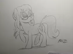 Size: 2048x1536 | Tagged: safe, artist:mellodillo, derpibooru import, oc, unofficial characters only, earth pony, pony, female, glasses, grayscale, image, jpeg, mare, monochrome, pencil drawing, solo, traditional art