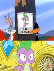 Size: 500x656 | Tagged: safe, edit, edited screencap, editor:spikeabuser, ponerpics import, screencap, spike, dragon, inspiration manifestation, abuse, bugs bunny, crossover, daffy duck, duck season rabbit season, image, implied spikeabuse, jpeg, looney tunes, male, nervous, op isn't even trying anymore, scared, spikeabuse