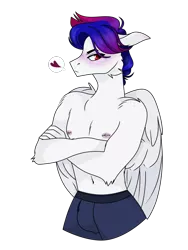 Size: 1256x1668 | Tagged: safe, artist:tired-horse-studios, derpibooru import, oc, oc:sorbet swirl, anthro, pegasus, clothes, image, male, nipple piercing, nipples, nudity, partial nudity, piercing, png, simple background, solo, solo male, topless, transparent background