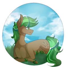 Size: 1400x1400 | Tagged: safe, artist:umimizunone, derpibooru import, oc, oc:jaeger sylva, unofficial characters only, earth pony, pony, image, lying down, male, partial background, png, prone