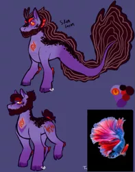 Size: 571x724 | Tagged: safe, artist:tyotheartist1, derpibooru import, oc, oc:thumbalina treasures, fish, pony, siren, image, male, png, reference sheet, simple background, siren oc, stallion