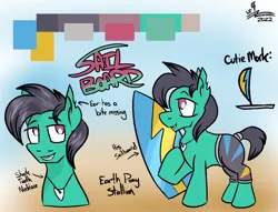 Size: 1307x999 | Tagged: safe, artist:whirlwindflux, derpibooru import, oc, oc:sail board, earth pony, pony, image, male, png, reference sheet, solo, stallion