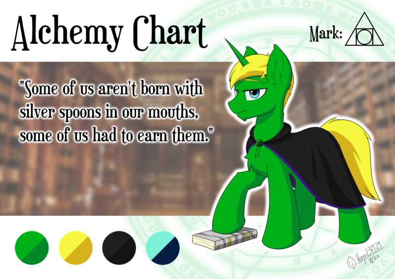 Size: 3508x2480 | Tagged: safe, artist:hugo231929, derpibooru import, oc, unofficial characters only, pony, book, character design, cloak, clothes, image, looking at you, mage, magic, magic circle, png, quote, reference sheet, signature, solo, unamused