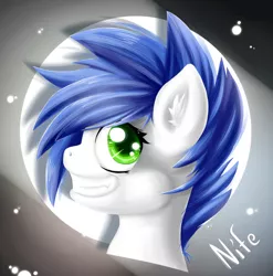 Size: 795x806 | Tagged: safe, artist:knifeh, derpibooru import, oc, oc:nife, unofficial characters only, pony, bust, grin, image, jpeg, male, portrait, smiling, solo