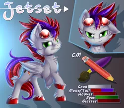 Size: 1500x1312 | Tagged: safe, artist:knifeh, derpibooru import, oc, unofficial characters only, pegasus, pony, goggles, image, pegasus oc, png, reference sheet, solo, unshorn fetlocks, wings