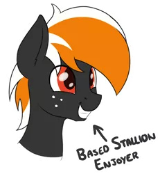 Size: 1254x1356 | Tagged: safe, artist:ponynamedmixtape, derpibooru import, oc, oc:se, unofficial characters only, bust, freckles, happy, image, male, png, solo, text