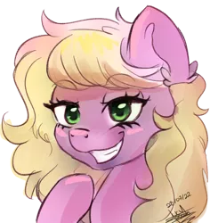 Size: 868x921 | Tagged: safe, artist:scarlett-letter, derpibooru import, oc, oc:twisted ankle, earth pony, image, png, signature, sketch, smug, solo