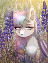 Size: 1200x1600 | Tagged: safe, artist:glumarko, derpibooru import, oc, oc:dreamyway skies, unofficial characters only, bat pony, pony, chest fluff, commission, female, flower, image, looking at you, meadow, morning, png, solo, solo female, ych result