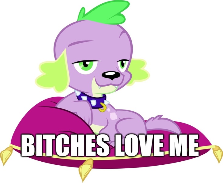 Size: 1252x1025 | Tagged: safe, derpibooru import, edit, edited screencap, screencap, spike, dog, equestria girls, caption, image, image macro, jpeg, pillow, pun, simple background, smug, spike the dog, text, vulgar, white background