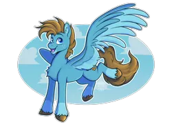Size: 2732x2048 | Tagged: safe, artist:sursiq, derpibooru import, oc, oc:carbon, unofficial characters only, pegasus, pony, blue eyes, brown mane, coat markings, colored wings, cute, happy, hooves, image, male, multicolored wings, open mouth, outline, pegasus oc, png, raised hoof, simple background, sky, socks (coat markings), solo, spread wings, transparent background, unshorn fetlocks, white outline, wings
