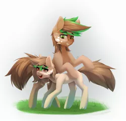 Size: 2313x2230 | Tagged: safe, artist:n_thing, derpibooru import, oc, unofficial characters only, earth pony, pony, duo, earth pony oc, grass, image, jpeg