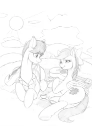 Size: 3436x4671 | Tagged: safe, artist:longinius, derpibooru import, oc, oc:star spicer, oc:strumbeat strings, unofficial characters only, pegasus, pony, bow, butt, clothes, duo, female, food, grayscale, guitar, hair bow, high res, image, looking at each other, looking at someone, lying down, male, mare, monochrome, musical instrument, oc x oc, picnic blanket, plot, png, prone, shipping, shirt, side, smiling, stallion, tea, traditional art