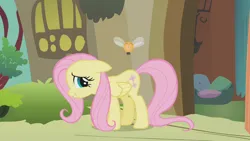 Size: 1000x563 | Tagged: safe, derpibooru import, screencap, fluttershy, parasprite, pegasus, pony, swarm of the century, doorway, embarrassed, female, fluttershy's cottage, flying, image, mare, pillow, png, solo