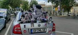 Size: 4640x2088 | Tagged: safe, derpibooru import, octavia melody, earth pony, human, pony, car, galacon 2022, image, irl, irl human, jpeg, license plate, multeity, namesake, octaviocalypse, photo, plushie, pun, skoda, skoda octavia, sticker, tree, visual pun