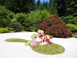Size: 2048x1536 | Tagged: safe, artist:vector-brony, derpibooru import, daisy, flower wishes, lily, lily valley, roseluck, earth pony, pony, female, flower, flower in hair, flower trio, garden, image, irl, jpeg, lily (flower), lying down, mare, oregon, photo, ponies in real life, portland, prone, sitting, trio