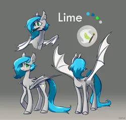 Size: 4096x3899 | Tagged: safe, artist:laymy, derpibooru import, oc, unofficial characters only, bat pony, pony, bat pony oc, bat wings, image, jpeg, reference sheet, solo, wings