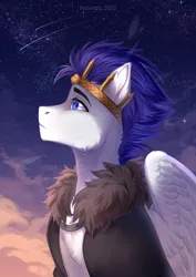 Size: 2480x3507 | Tagged: safe, artist:fenwaru, derpibooru import, oc, unofficial characters only, pegasus, pony, crown, image, jewelry, jpeg, regalia, shooting star, sky, solo, stars