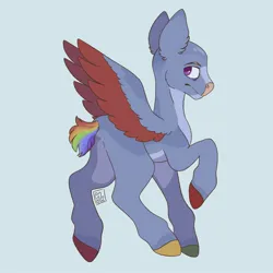 Size: 2048x2048 | Tagged: safe, derpibooru import, rainbow dash, pegasus, pony, alternate design, bald, haircut, headshave, image, jpeg, shaved, shorn, short hair, short tail, tail, twitterina design