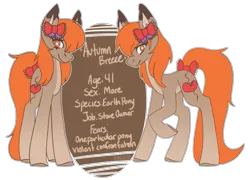 Size: 675x487 | Tagged: safe, artist:raya, derpibooru import, oc, oc:autumn breeze, earth pony, pony, bio, bow, hair bow, image, png, solo, text