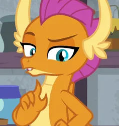 Size: 524x552 | Tagged: safe, derpibooru import, screencap, smolder, dragon, molt down, cropped, dragoness, female, image, looking at you, png, raised eyebrow, solo