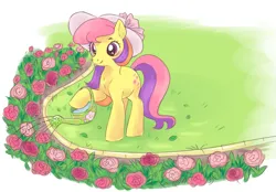 Size: 903x627 | Tagged: safe, derpibooru import, oc, earth pony, pony, flower, grass, image, png, rose, scenery, sketch, yellow