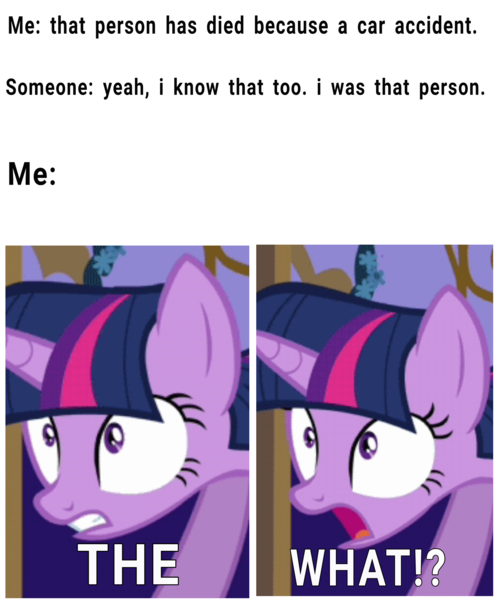 Size: 1650x1989 | Tagged: safe, derpibooru import, edit, edited screencap, editor:dematrix-edit, screencap, twilight sparkle, pony, exploitable meme, female, image, mare, meme, open mouth, png, ponified meme, reaction, shocked, shrunken pupils, solo, text, the what