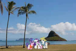 Size: 1600x1067 | Tagged: safe, artist:jaredking779, artist:vector-brony, derpibooru import, cookie crumbles, hondo flanks, rarity, sweetie belle, pony, unicorn, clothes, family, female, filly, foal, hat, hawaiian shirt, image, irl, jpeg, male, mare, photo, ponies in real life, rarity's parents, shirt, stallion