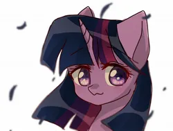 Size: 2006x1515 | Tagged: safe, artist:namaenonaipony, derpibooru import, twilight sparkle, pony, ambiguous race, bust, female, horn, image, jpeg, looking at you, mare, portrait, simple background, solo, white background