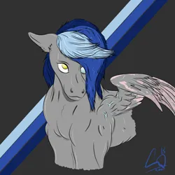 Size: 1280x1280 | Tagged: safe, artist:lennystendhal13, derpibooru import, oc, oc:sparrow tailspin, pegasus, pony, image, male, png, solo, stallion