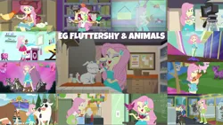 Size: 1966x1106 | Tagged: safe, derpibooru import, edit, edited screencap, editor:quoterific, screencap, fluttershy, rainbow dash, winona, bird, chicken, cow, dog, goat, owl, a little birdie told me, eqg summertime shorts, equestria girls, equestria girls series, five to nine, get the show on the road, hamstocalypse now, i'm on a yacht, outtakes (episode), pet project, road trippin, so much more to me, spring breakdown, stressed in show, stressed in show: fluttershy, tip toppings, tip toppings: fluttershy, spoiler:eqg series (season 2), camp everfree outfits, clothes, cutie mark, cutie mark on clothes, eyes closed, female, geode of fauna, hairpin, image, jewelry, magical geodes, necklace, open mouth, open smile, png, smiling, tanktop, video camera