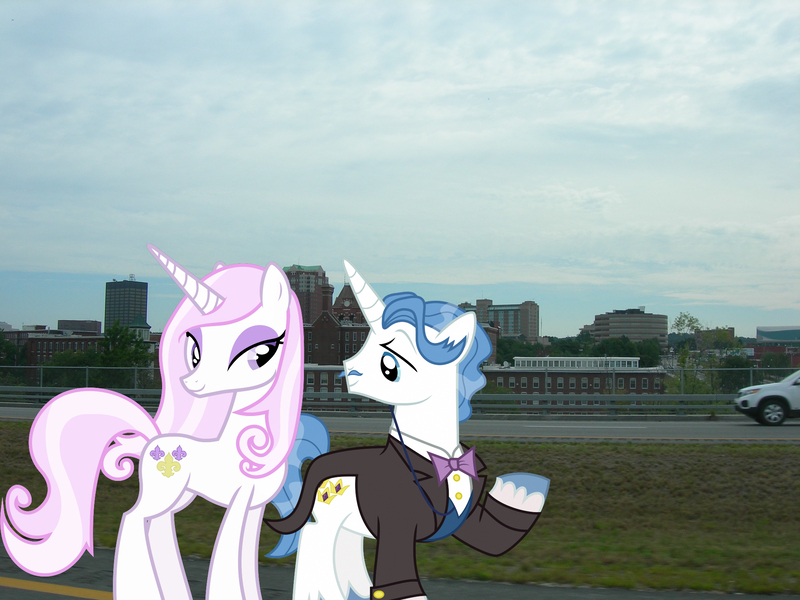 Size: 2048x1536 | Tagged: safe, artist:90sigma, artist:dashiesparkle, artist:jaredking779, derpibooru import, fancypants, fleur-de-lis, pony, unicorn, fancyfleur, female, image, irl, jpeg, male, manchester, mare, new hampshire, photo, ponies in real life, shipping, stallion, straight