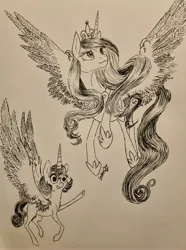 Size: 2968x3996 | Tagged: safe, artist:cahandariella, derpibooru import, princess cadance, princess flurry heart, alicorn, derp, feather, image, jpeg, monochrome, pen sketch, royal family, spread wings, traditional art, wings