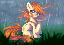 Size: 807x571 | Tagged: safe, artist:chaosangeldesu, derpibooru import, oc, oc:polya, unofficial characters only, earth pony, pony, female, image, jpeg, mare, rain, sitting, solo, wind, windswept mane