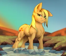 Size: 1920x1636 | Tagged: safe, artist:tillie-tmb, derpibooru import, applejack, earth pony, pony, female, image, jpeg, looking at you, mare, muscles, one ear down, outdoors, scenery, sky, solo, water, wet, wet mane