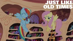 Size: 1920x1080 | Tagged: safe, derpibooru import, edit, edited screencap, editor:quoterific, screencap, fluttershy, rainbow dash, pegasus, pony, princess twilight sparkle (episode), season 4, ^^, duo, duo female, element of kindness, element of loyalty, eyes closed, female, flying, golden oaks library, grin, image, library, mare, night, png, smiling, spread wings, text, wings