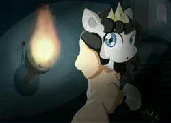 Size: 5555x4000 | Tagged: safe, artist:ando, derpibooru import, pony, absurd resolution, clothes, crown, ico the brave little horse, image, jewelry, jpeg, preciosa, regalia, solo, torch